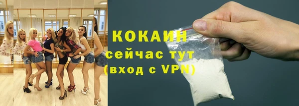 дживик Абинск
