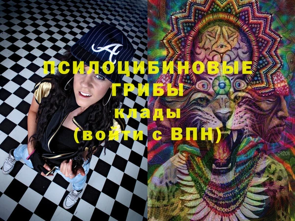 винт Покачи