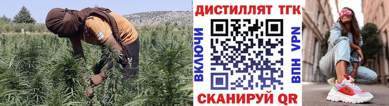 мега онион  Пыталово  ТГК вейп с тгк 